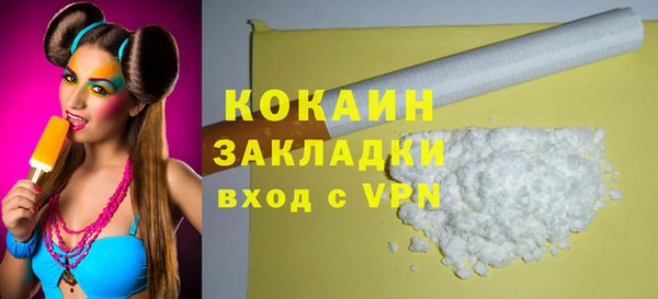 гашик Горняк