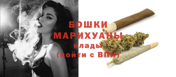 гашик Горняк