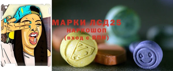 гашик Горняк