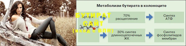 гашик Горняк