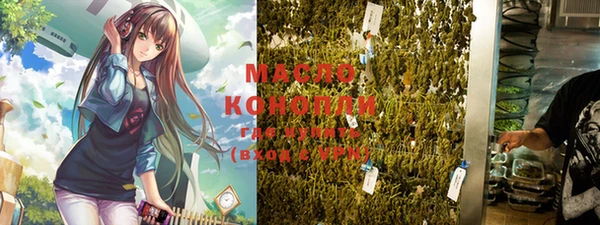 гашик Горняк