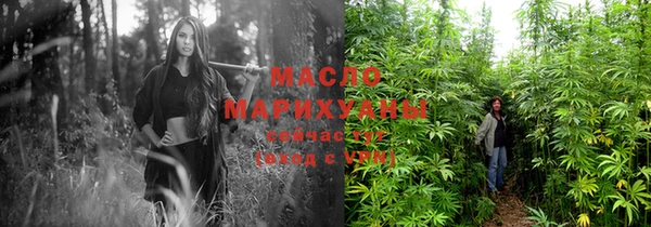 гашик Горняк