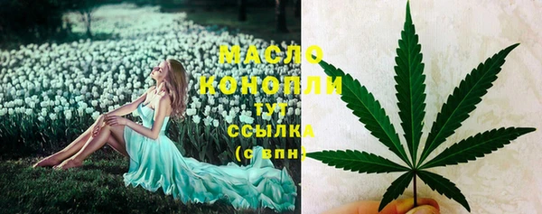 гашик Горняк