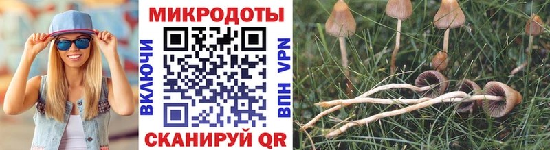 Псилоцибиновые грибы GOLDEN TEACHER Мценск