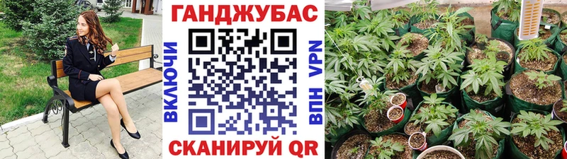 Шишки марихуана тримм  Купить где  Мценск 